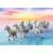 500 Piece Jigsaw Puzzles, Galloping White Horses, Animal Puzzles, Sunset Ocean Puzzle, Adult Puzzles, Trefl 37289